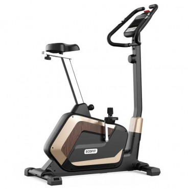 Велотренажер EcoFit E 83700 магнитный 