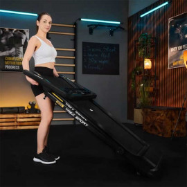 Беговая дорожка Trex Sport TX-800TM VEGA